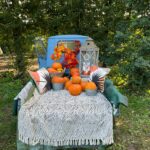 campo_di_zucche_2
