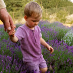campo di lavanda bambino