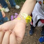 pozione magica delle fate 4