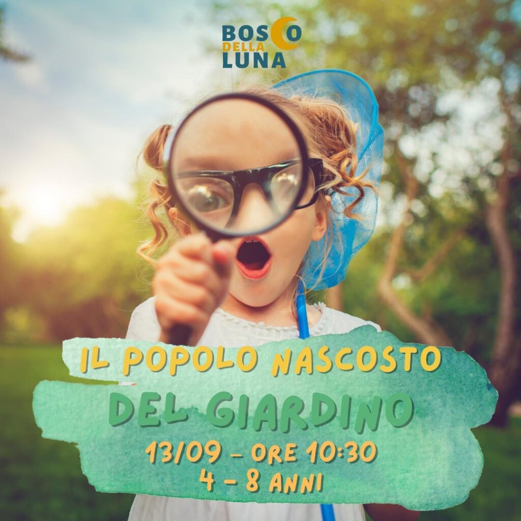 Il Popolo Nascosto del Bosco