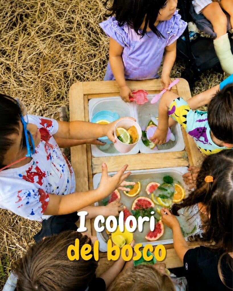I colori del bosco - bosco della luna